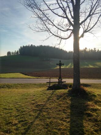 20151204_145149_HDR