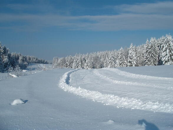 SWW Deutsche Einheit