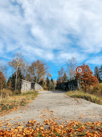 Brücke über den Loisach-Isar Kanal zum Birkensee