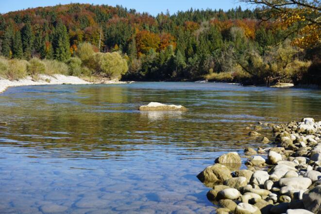 Isar