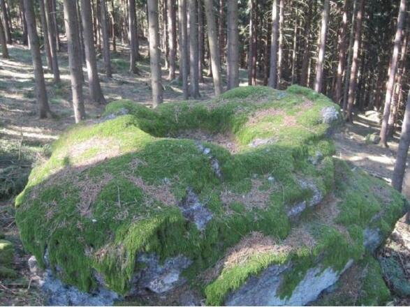 Windhaag_Predigtstuhl im Piberschlag