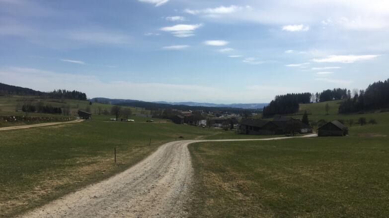 Mountainbike Runde Grünbach