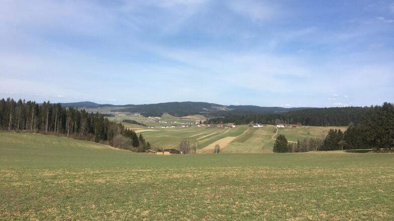MTB-Runde Grünbach