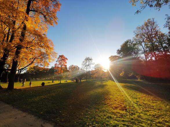 Sonnige Stimmung im Englischen Garten