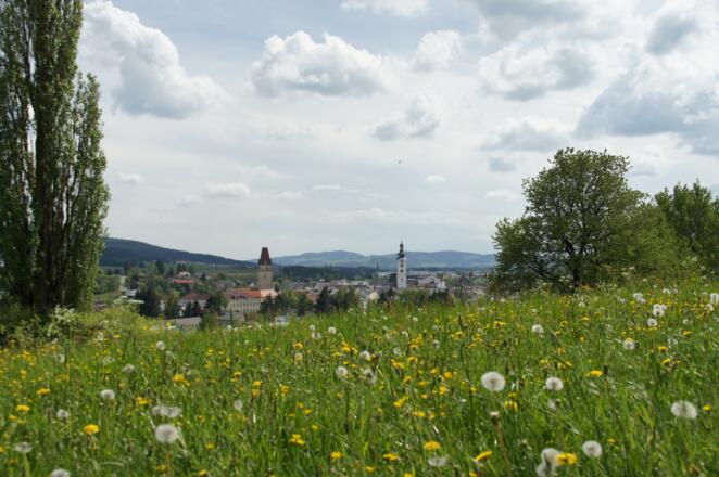 Ansicht Freistadt