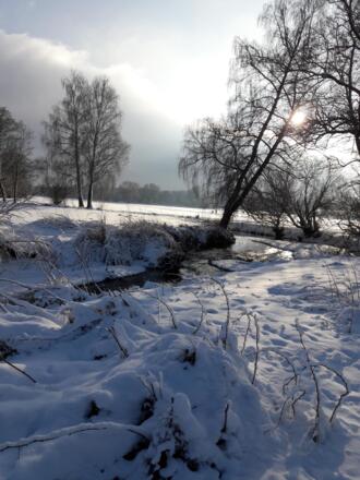 Winter in den Flussauen