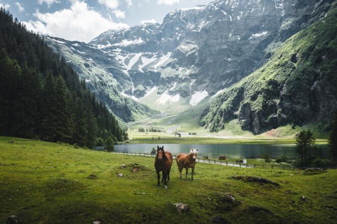 Hintersee Felbertal Mittersill