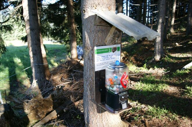 Graf Hugo Schatzsuche