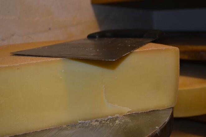 Urlaub, Ferienwohnung, Radfahren