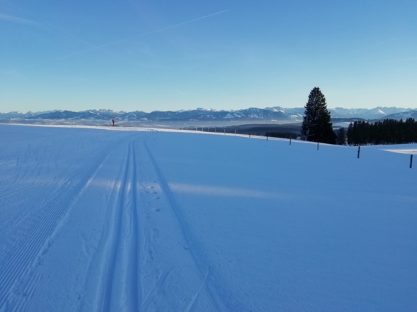 Alpenblick von der Eschachloipe B4 aus