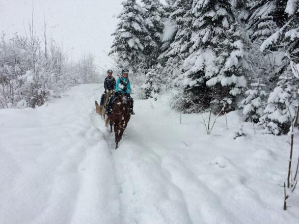 Reiten im Schnee