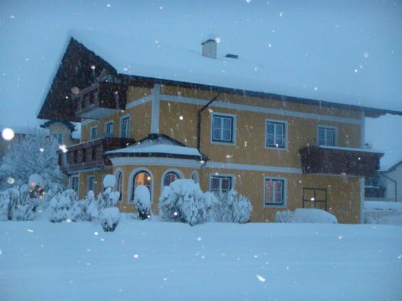 Seitenansicht im Winter