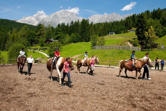 Kniegut Reiten