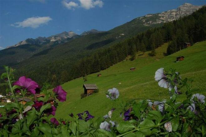 Ausblick Sommer