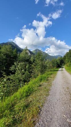 Oberhalb von Dalaas/Wald am Arlberg