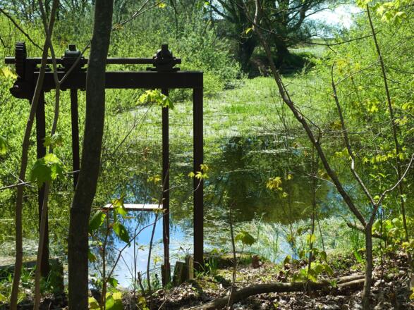 Das Wehr am zugewachsenen Weiher