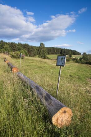 Naturlehrpfad am Oberschnorrhof bei Dammbach