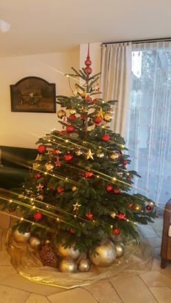 Weihnachtsbaum