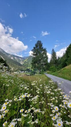 Hinauf Richtung Schattenmähder
