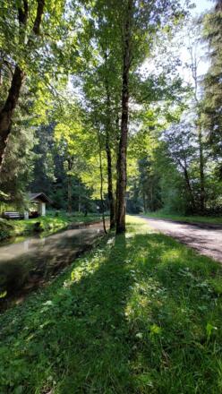 Grillstelle am Alfenzweg