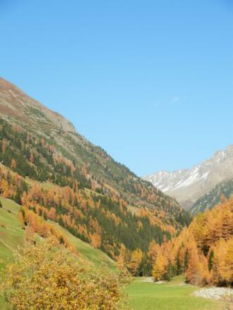 Herbst in Niederthai