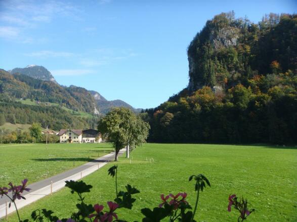 Grün so weit das Auge reicht