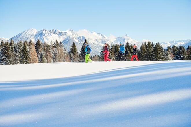 Schneeschuhwandern durch tiefverschneite Wälder
