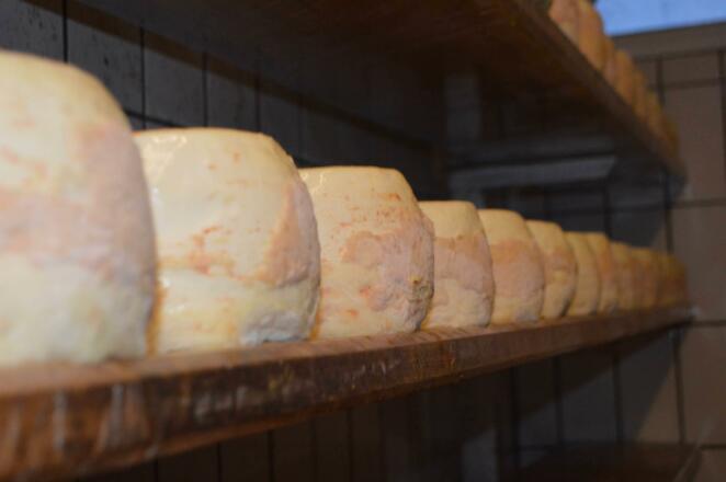 St. Gallenkirch, Sauerkäse, Urlaub, neues Appartme