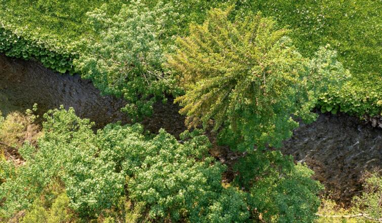 Mitten in der Natur