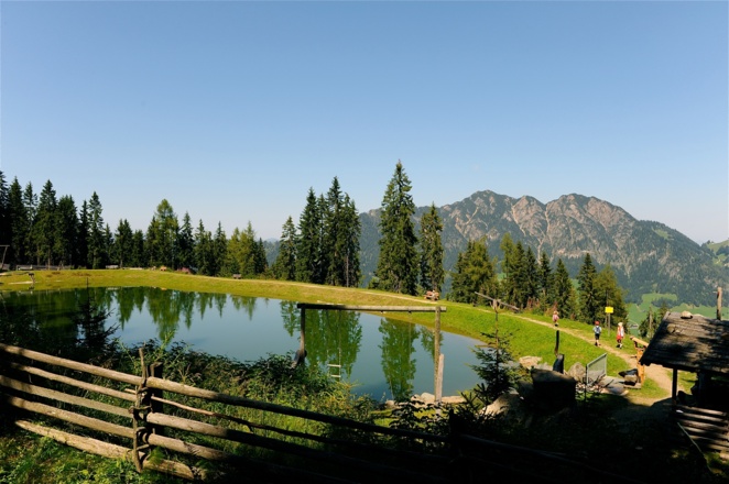 Speicherteich Teichwanderweg Alpbach