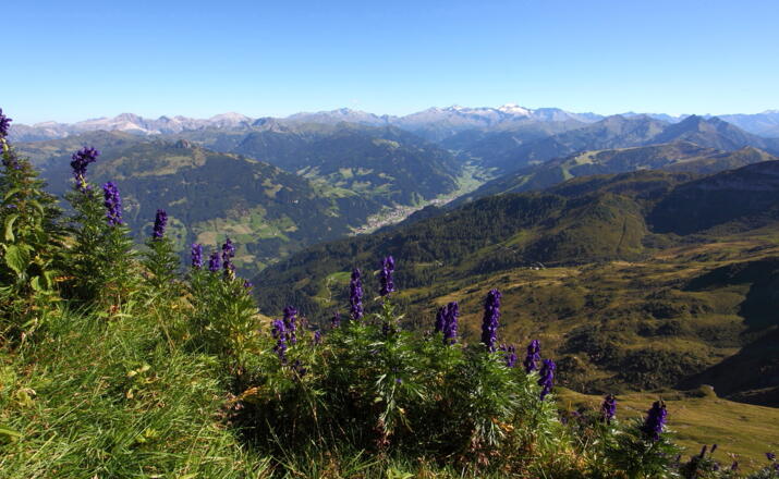 Ausblick von Höllwand