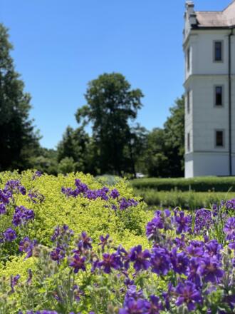 Schlosspark Hohenkammer