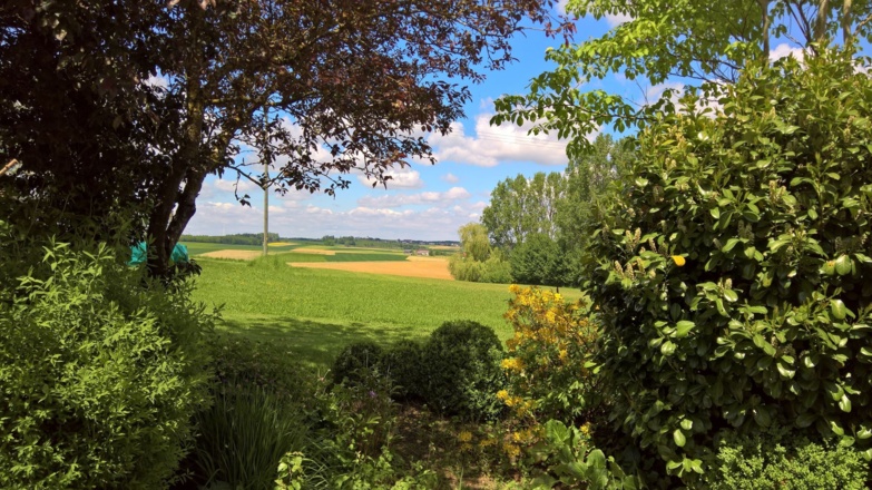 Aussicht in die freie Natur