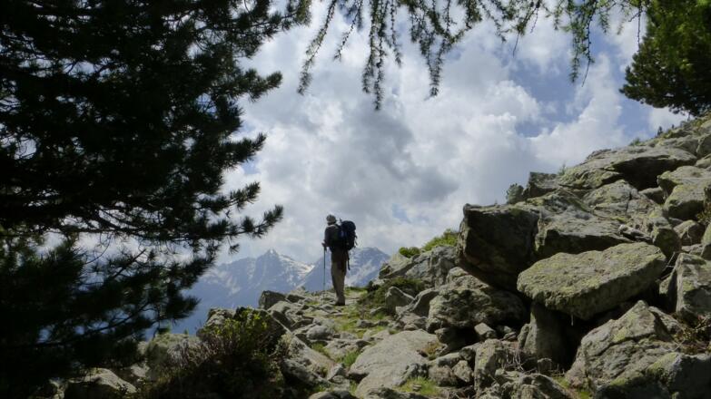 Der Aufstieg zum Höhenweg ist fast geschafft