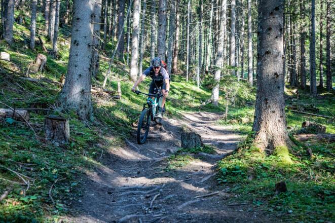 Mountainbike Flachau