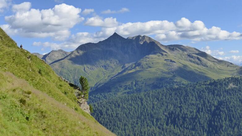 Zwischen Seespitzhütte und Erlsbacher Alm; Kahorn und Hochkreuzspitze im Hintergrund