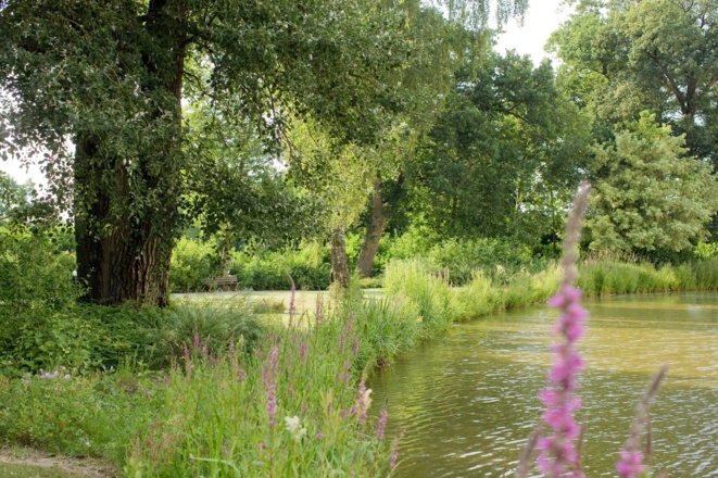 Schlosspark Hohenkammer