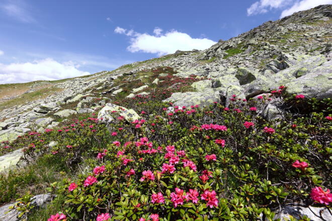 Schödertal