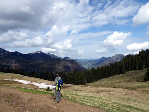 Der Blick von der Feichtensteinalm nordwärts Richtung Hintersee.