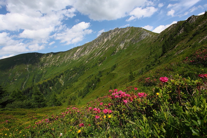 Blick auf Klingspitz