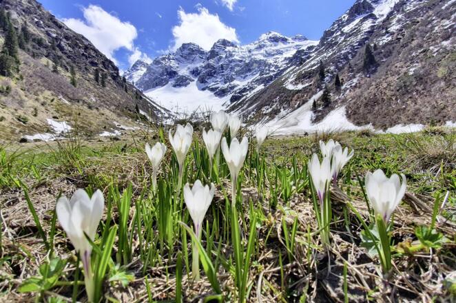 Valisera Alpe