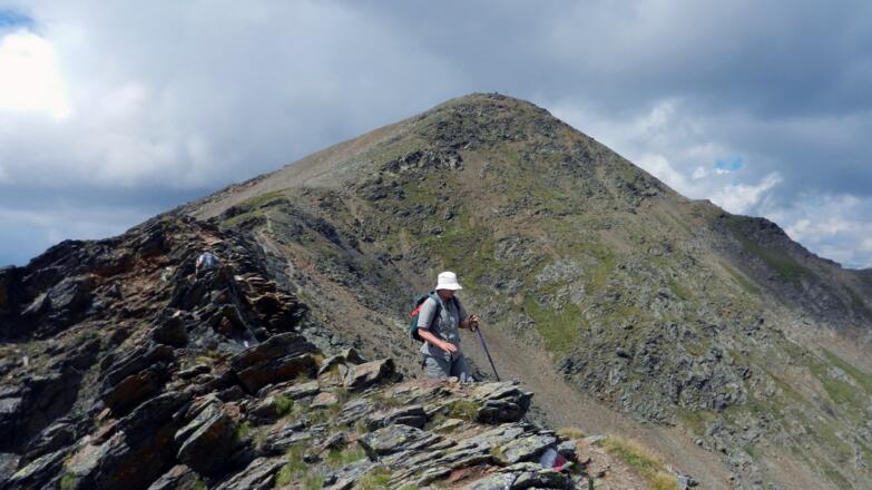 Großes Degenhorn
