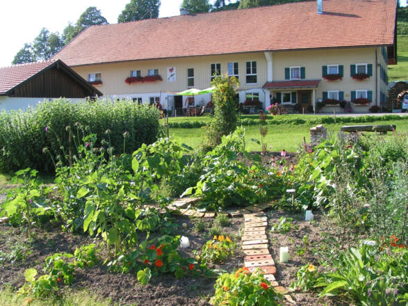 ProKräuter in Wengen