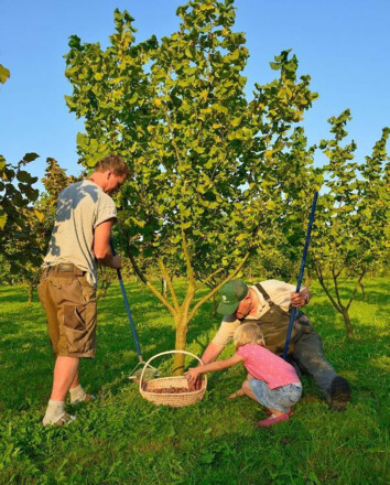 DSC_6658_reduziert_copyright Haselnusshof Neumeier_2