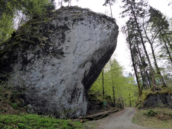 Der Satzstein nahe Hintersee wurde von einem mächtigen Gletscherstrom hierher verfrachtet.
