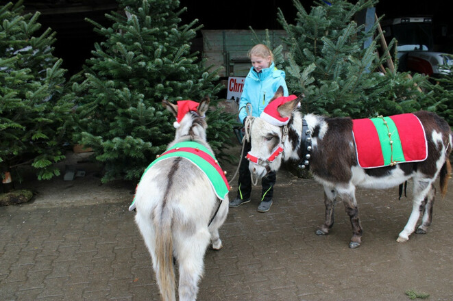 Unterwegs mit Eseln©Hörlhof_Fischer