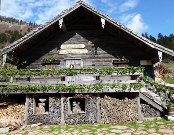 Die Mayerlehenhütte auf der Gruberalm lädt im Almsommer zu zahlreichen Veranstaltungen ein.