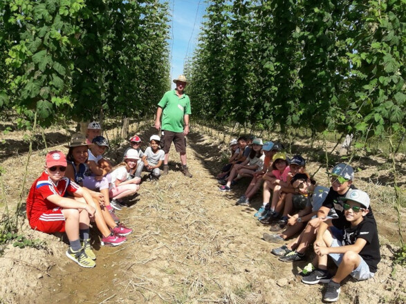 Führung im Hopfengarten1@Hörlhof_Fischer