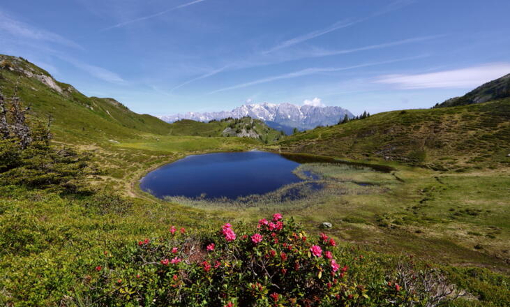 Paarseen