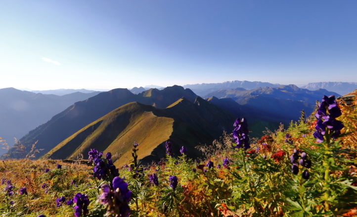 Aussicht vom Frauenkogel